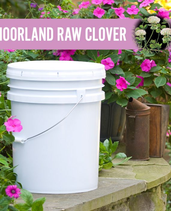 Moorland Raw Clover Honey Pail