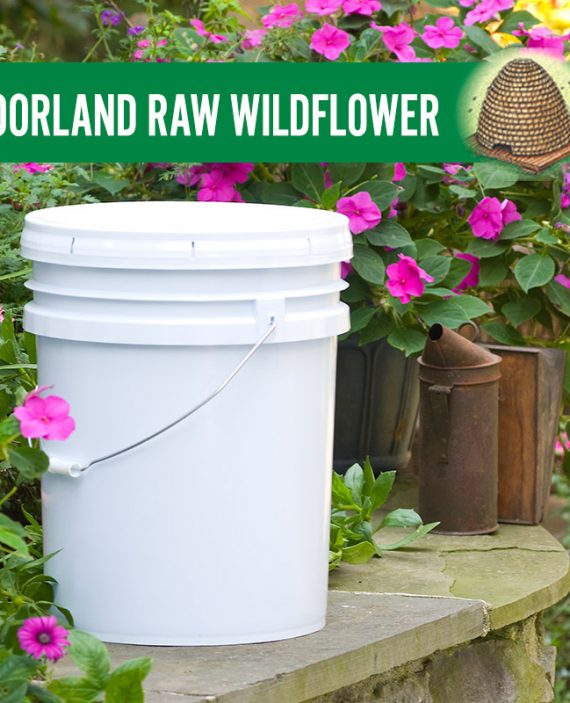 Moorland Raw Wildflower Honey Pail