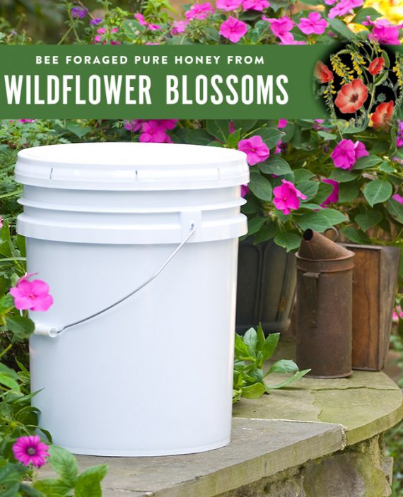 Wildflower Honey Pail